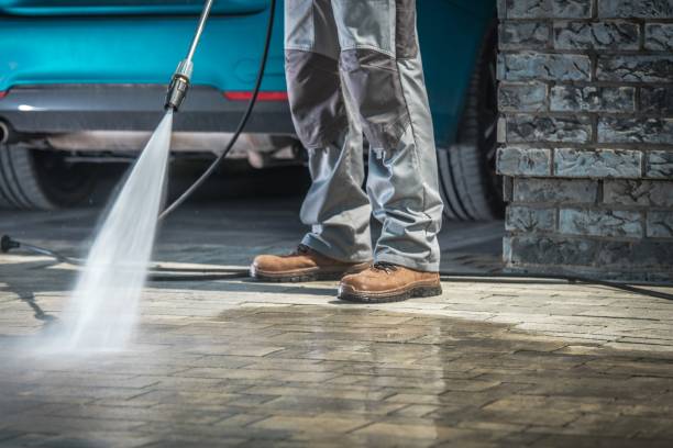 Best Gutter Cleaning  in Terry, MS